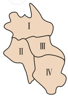 (第 17 题)