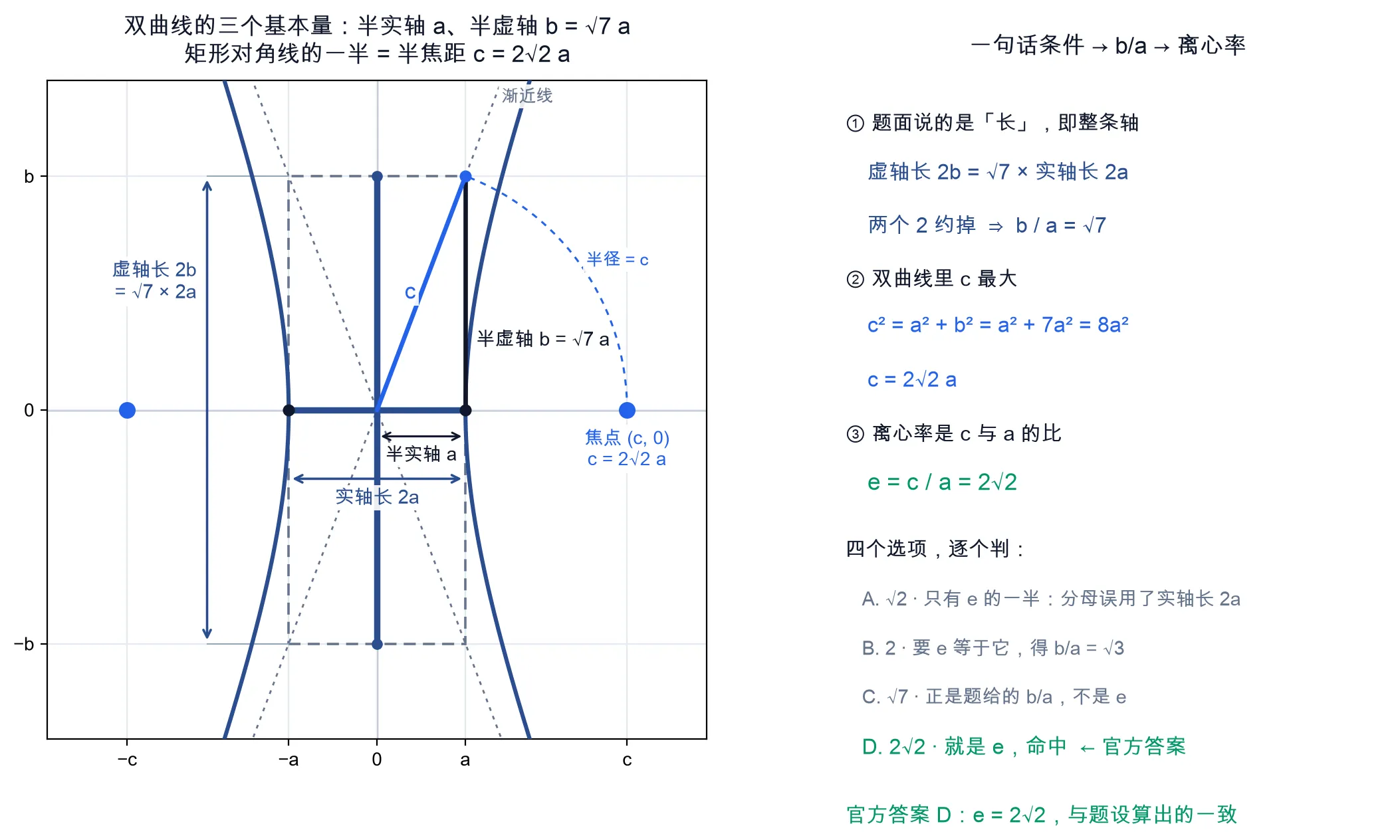 教学图：左侧画双曲线与虚线特征矩形，两条叠放的尺寸线对比半实轴 a 与实轴长 2a，左侧尺寸线标出虚轴长 2b = √7 × 2a；从原点到矩形右上角的线段是 c，一段虚线弧把它转到 x 轴、落点正是焦点 (c, 0)，故 c = 2√2 a。右侧三步推导：b/a = √7 → c² = 8a² → e = c/a = 2√2，并逐条判定四个选项，绿色标出官方答案 D