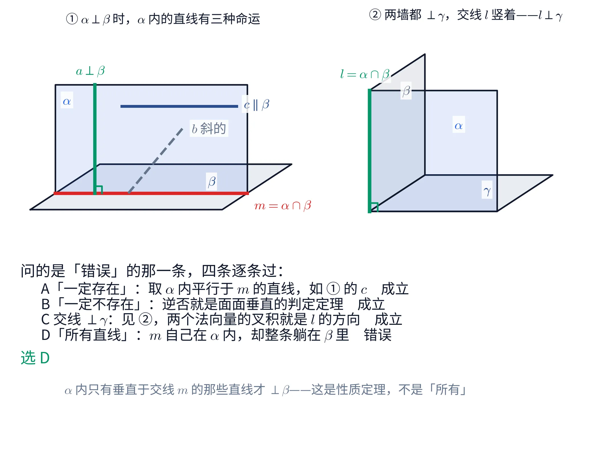 教学图：两块图加一个文字块。①左上是 \alpha\perp\beta 的标准画法（斜二测）：一张水平的浅蓝色平面 \beta（右下角标 β），一张竖直的浅蓝色平面 \alpha 立在它上面（左上角标 α），两者的交线画成一条粗红线，右端标「m = α ∩ β」。\alpha 内画了三条直线：一条竖直的粗绿线段 a，从交线上一点直立上去，顶端标「a ⊥ β」，它与交线的交点处画了个绿色直角记号；一条水平的深蓝线段 c，横在 \alpha 的上半部，右端标「c ∥ β」；一条灰色虚线 b，从交线上一点斜着往右上方走，标「b 斜的」。②右上是 C 的构型：一张水平的浅蓝色平面 \gamma（右下标 γ），两堵竖直的平面从它上面立起来——一堵正对读者的矩形墙标 α，一堵斜向纸内的墙标 β，两墙相交于一条竖直的粗绿线段 l，顶端标「l = α ∩ β」，它与地面相交处画了个绿色直角记号。③下方是文字块：首行「问的是「错误」的那一条，四条逐条过：」，其下四行依次是「A「一定存在」：取 α 内平行于 m 的直线，如 ① 的 c　成立」「B「一定不存在」：逆否就是面面垂直的判定定理　成立」「C 交线 ⊥ γ：见 ②，两个法向量的叉积就是 l 的方向　成立」「D「所有直线」：m 自己在 α 内，却整条躺在 β 里　错误」；绿色答案行「选 D」；末尾一行灰字「α 内只有垂直于交线 m 的那些直线才 ⊥ β——这是性质定理，不是「所有」」。