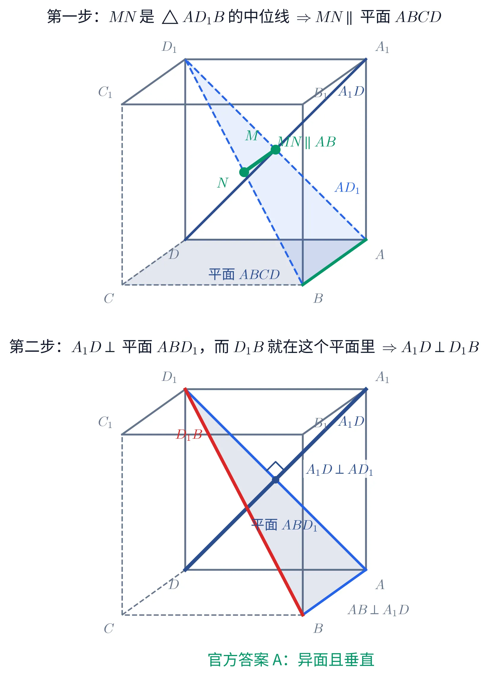 教学图：上下两幅，画的是同一个正方体 ABCD-A₁B₁C₁D₁ 的同一个斜二测骨架（棱灰色，被 C 挡住的三条棱画虚线，八个顶点都标了名），一幅走一步。上幅「第一步：MN 是 △AD₁B 的中位线 ⇒ MN ∥ 平面 ABCD」：底面 ABCD 铺淡蓝底纹并标名，连出的辅助三角形 AD₁B 用蓝虚线描边加淡底纹，深蓝实线是 A₁D、亮蓝虚线是 AD₁——两条对角线交于正方形 AA₁D₁D 的中心，所以那个交点 M 既是 A₁D 的中点也是 AD₁ 的中点；M 与 D₁B 的中点 N 都画成绿点并标名，二者之间的绿粗线段就是中位线 MN，旁注 MN ∥ AB，而底边 AB 也描成绿色以示它在底面里。下幅「第二步：A₁D ⊥ 平面 ABD₁，而 D₁B 就在这个平面里 ⇒ A₁D ⊥ D₁B」：三角形 ABD₁（即平面 ABD₁）铺淡蓝底纹并标名，平面内相交于 A 的两条线 AD₁ 与 AB 描成亮蓝，深蓝粗线 A₁D 与它们分别垂直——A₁D 与 AD₁ 的交点处画了一个真直角记号（这两条都躺在不变形的那个面里），旁注 A₁D ⊥ AD₁，右下另注 AB ⊥ A₁D；红粗线是 D₁B，它整条落在淡蓝的平面 ABD₁ 内。图最下方绿字结论：官方答案 A，异面且垂直
