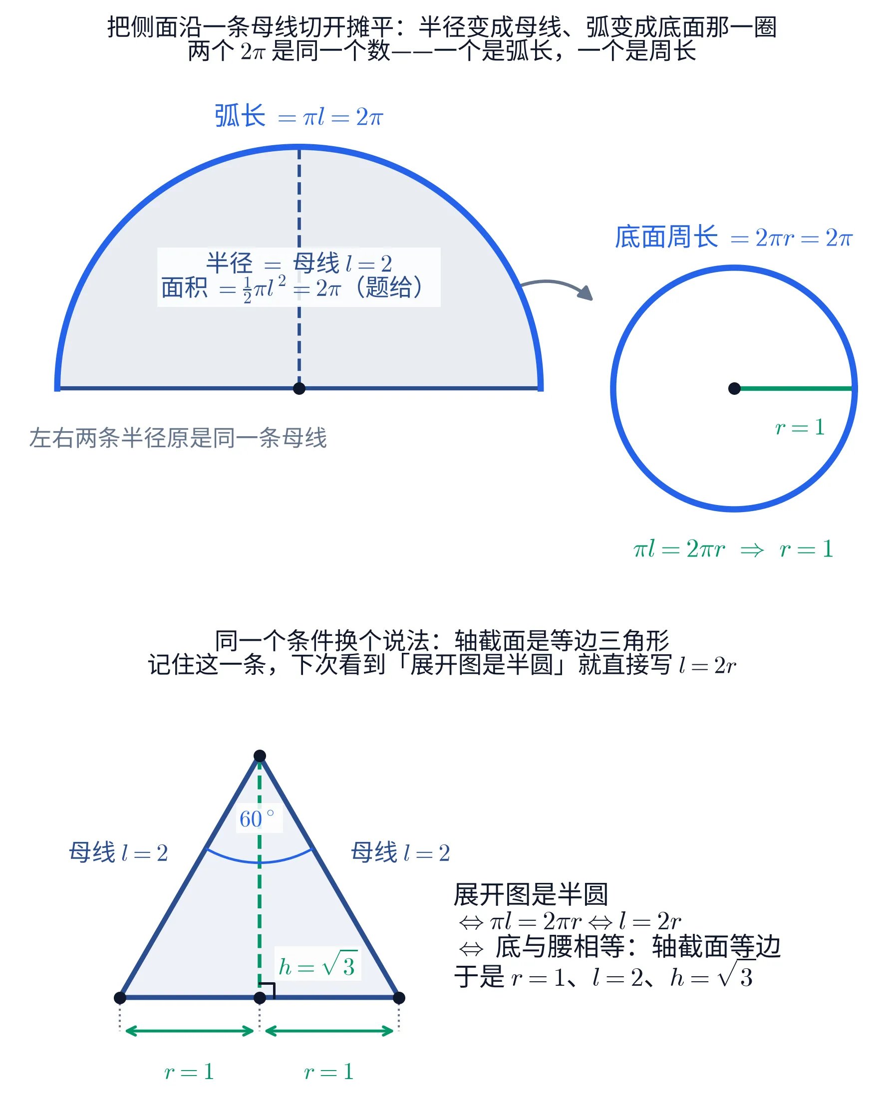 教学图：上半张把侧面沿一条母线切开摊平，画出半径 2 的半圆（水平那条直径的左右两半原是同一条母线——侧面就是沿它切开的），半圆内部标「半径 = 母线 l=2」与「面积 = ½πl² = 2π（题给）」，弧用粗蓝线标「弧长 = πl = 2π」；右边画出底面那个圆（半径 1），圆周用同一种粗蓝线标「底面周长 = 2πr = 2π」，一条弯箭头从半圆的弧指向底面圆，圆下方写出「πl = 2πr ⇒ r = 1」——两个 2π 是同一个数，一个是弧长、一个是周长。下半张画轴截面：顶角 60° 的等边三角形，两腰标「母线 l=2」、底被高分成两段各标「r=1」、虚线高标「h=√3」并带直角记号；右侧给出这条等价链：展开图是半圆 ⟺ πl=2πr ⟺ l=2r ⟺ 底与腰相等（轴截面等边），于是 r=1、l=2、h=√3