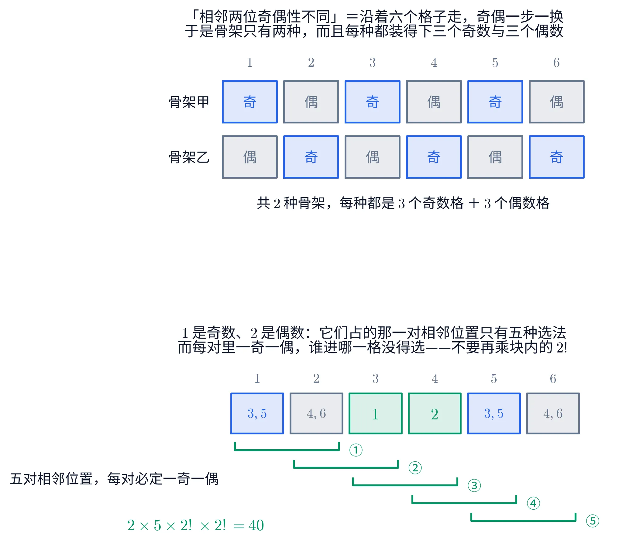 上下两块,都画成六个方格排成一排、上方标着位置号 1 到 6。① 两条格带:上面一条行首写「骨架甲」,六格依次是「奇」「偶」「奇」「偶」「奇」「偶」;下面一条行首写「骨架乙」,六格依次是「偶」「奇」「偶」「奇」「偶」「奇」。写「奇」的格子是蓝框淡蓝底,写「偶」的是灰框淡灰底。两条格带下面一行字:「共 2 种骨架,每种都是 3 个奇数格 + 3 个偶数格」。② 只画骨架甲那一条格带,并且填上了数:第 3、4 格是绿框淡绿底,分别写着「1」与「2」(举五对里的第 ③ 对为例);第 1、5 格是蓝色的奇数格,各写着「3,5」;第 2、6 格是灰色的偶数格,各写着「4,6」——意思是剩下的数只能填同色的格。格带下方五道绿色方括号自上而下逐层错开,依次括住位置对 (1,2)、(2,3)、(3,4)、(4,5)、(5,6),右端分别标着 ①②③④⑤;左侧写着「五对相邻位置,每对必定一奇一偶」,左下角绿字写着「2\times 5\times 2!\times 2!=40」。两块的标题分别是「「相邻两位奇偶性不同」=沿着六个格子走,奇偶一步一换;于是骨架只有两种,而且每种都装得下三个奇数与三个偶数」与「1 是奇数、2 是偶数:它们占的那一对相邻位置只有五种选法;而每对里一奇一偶,谁进哪一格没得选——不要再乘块内的 2!」