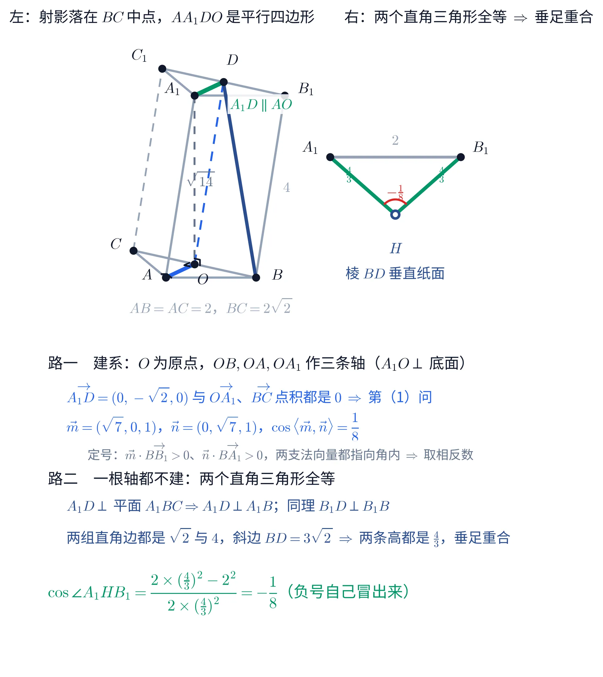 上下两块教学图。①上块左右并排两件事。左边是一个斜三棱柱的斜二测图:底面 ABC 的三个顶点各有黑点与字母,A 在左下、B 在右下、C 在左后方,A 处画着直角记号;BC 上标着中点 O,O 处也有一个直角记号。A 到 O 是一条蓝色粗线段。顶面 A_{1}B_{1}C_{1} 在上方,D 标在 B_{1}C_{1} 的中点上,A_{1} 恰好落在 O 的正上方,两点之间一条灰色竖直虚线,旁边灰字标 \sqrt{14}。A_{1} 到 D 是一条绿色粗线段,右下方一块浅底标签写「A_{1}D\parallel AO」;O 到 D 另有一条蓝色虚线,把 AA_{1}DO 补成平行四边形。侧棱 BB_{1} 旁灰字标 4,侧棱 CC_{1} 画成虚线,B 到 D 是一条深蓝色粗线段。底面下方灰字写「AB=AC=2,BC=2\sqrt{2}」。右边是二面角摊平以后的平面角:一个开口向上的等腰三角形,下顶点是空心蓝点标 H,两腰画成绿色粗线段、各标 \frac{4}{3},两个上端点分别标 A_{1} 与 B_{1},上底是灰线标 2;H 处一段红色角弧,弧内红字写 -\frac{1}{8};H 下方蓝字写「棱 BD 垂直纸面」。这一块的标题写「左:射影落在 BC 中点,AA_{1}DO 是平行四边形 右:两个直角三角形全等 \Rightarrow 垂足重合」。②下块是一段文字:抬头「路一 建系:O 为原点,OB,OA,OA_{1} 作三条轴(A_{1}O\perp 底面)」,蓝字一行「\overrightarrow{A_{1}D}=(0,-\sqrt{2},0) 与 \overrightarrow{OA_{1}}、\overrightarrow{BC} 点积都是 0 \Rightarrow 第(1)问」,蓝字一行「\vec m=(\sqrt{7},0,1),\vec n=(0,\sqrt{7},1),\cos\langle\vec m,\vec n\rangle=\frac{1}{8}」,灰字一行「定号:\vec m\cdot\overrightarrow{BB_{1}}>0、\vec n\cdot\overrightarrow{BA_{1}}>0,两支法向量都指向角内 \Rightarrow 取相反数」;抬头「路二 一根轴都不建:两个直角三角形全等」,蓝字一行「A_{1}D\perp 平面 A_{1}BC\Rightarrow A_{1}D\perp A_{1}B;同理 B_{1}D\perp B_{1}B」,蓝字一行「两组直角边都是 \sqrt{2} 与 4,斜边 BD=3\sqrt{2} \Rightarrow 两条高都是 \frac{4}{3},垂足重合」,末行绿字「\cos\angle A_{1}HB_{1}=\frac{2\times(\frac{4}{3})^{2}-2^{2}}{2\times(\frac{4}{3})^{2}}=-\frac{1}{8}(负号自己冒出来)」